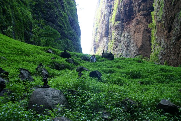Valley floor blanketed by a lush green carpet